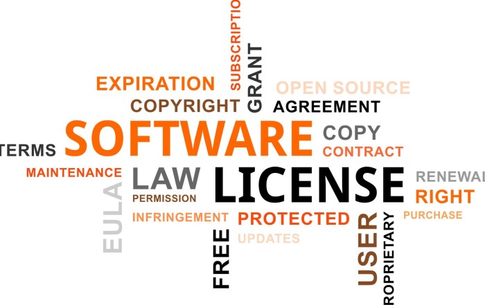 Lisensi Software Original