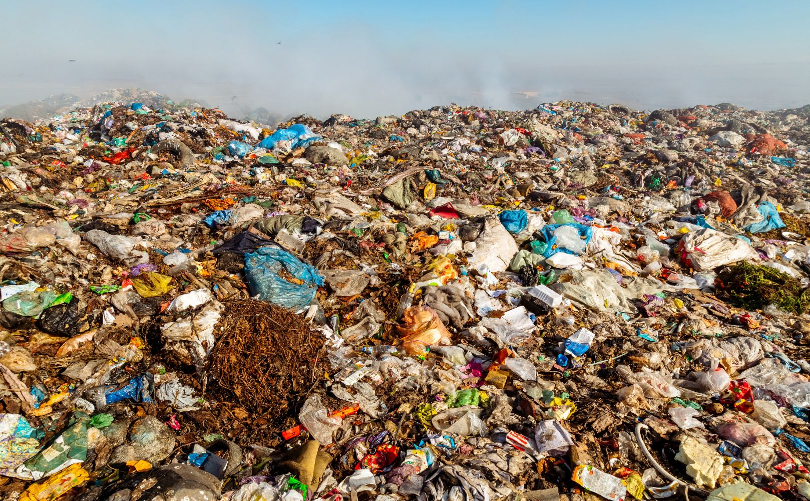 Membakar Sampah